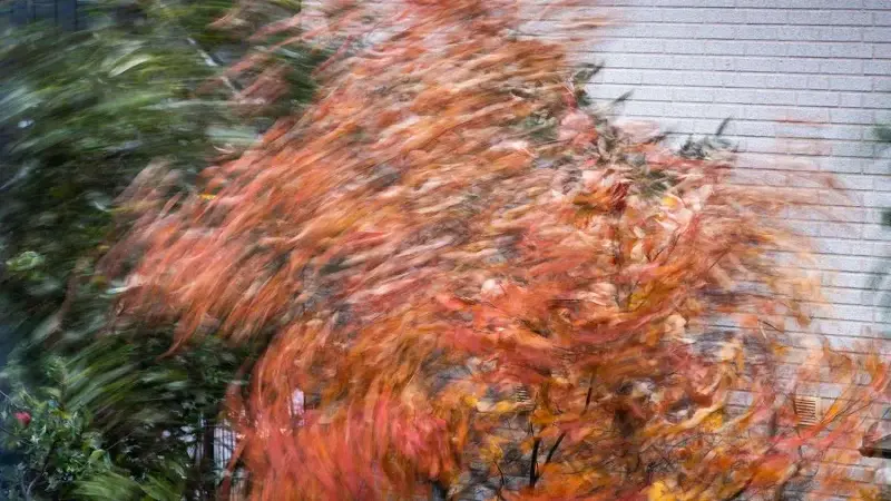 Plötzlich mitten im Sturm? Stellen Sie sich bloß nicht unter einen Baum.