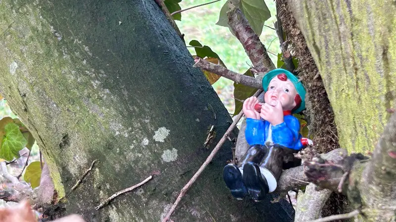 Mysterieuze porseleinen beeldjes verstopt in bos van Hoegaarden