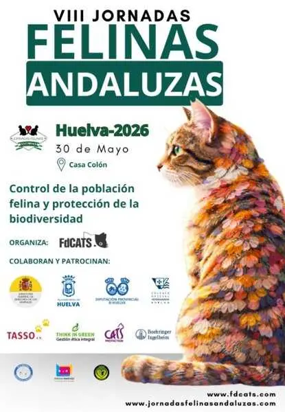 Las VIII Jornadas Felinas Andaluzas analizarán el impacto de los gatos sobre la biodiversidad