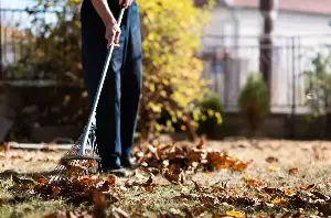 Ask Angi: Which fall yard cleanup projects should homeowners tackle — and what can wait until spring?
