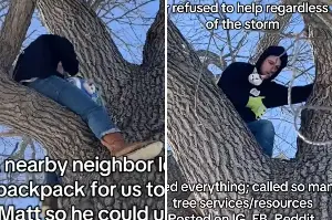 Cat Stuck for Days 50ft up Tree As Storm Hits—Then a Kind Stranger Steps In
