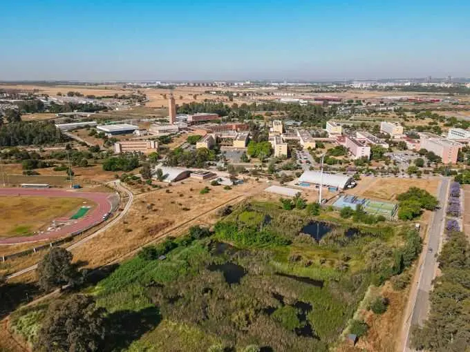 La Universidad Pablo de Olavide, considerado el pulmón estratégico del Anillo Verde de la provincia