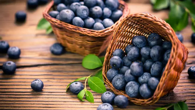 blueberries in basket