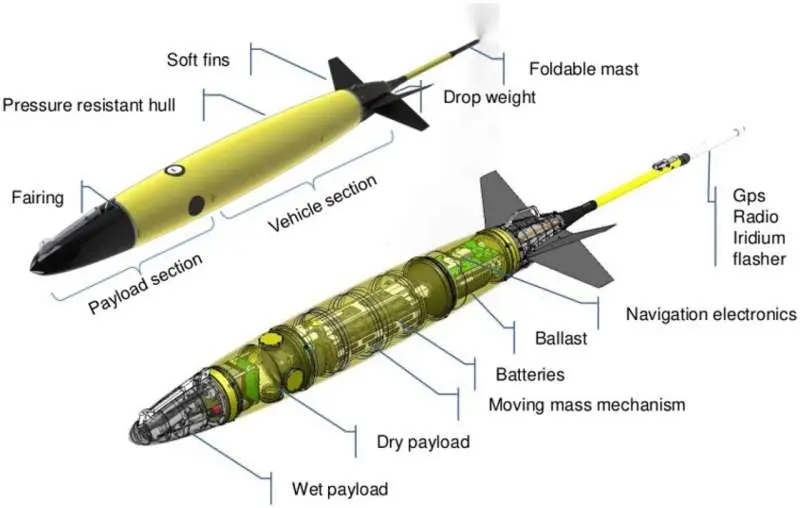 An autonomous underwater glider tracks sperm whales by listening to their clicks