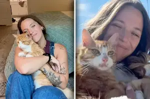 Street cat begs woman to adopt her – then she has a terrifying thought