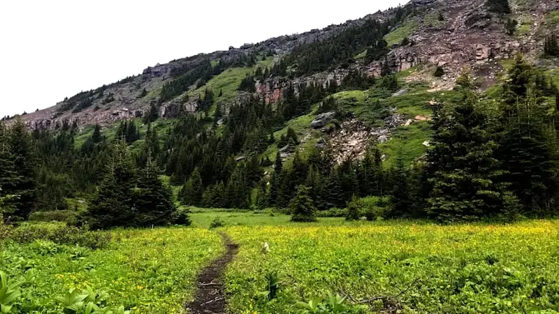 Hiking Trail in Mountains Landscape in Tumbler Ridge, BC Canada