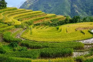 Where does Vietnam rank among the 28 most beautiful countries in the world?