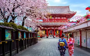 The six best Japan cruises to book now