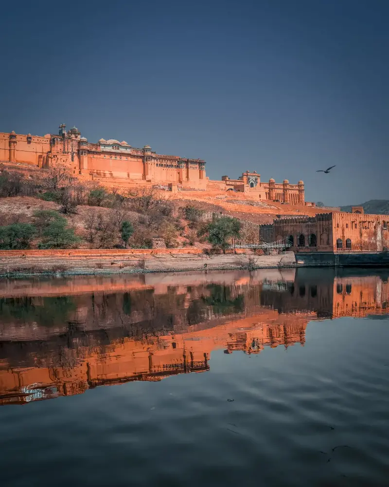 DSC08197 Edit Edit 1