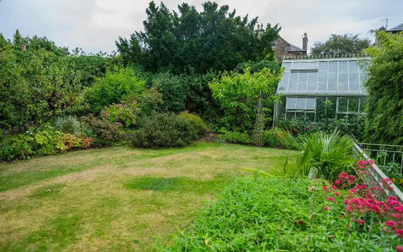 Tomatoes, cucumbers and grapes grow in the greenhouse - Chris Watt