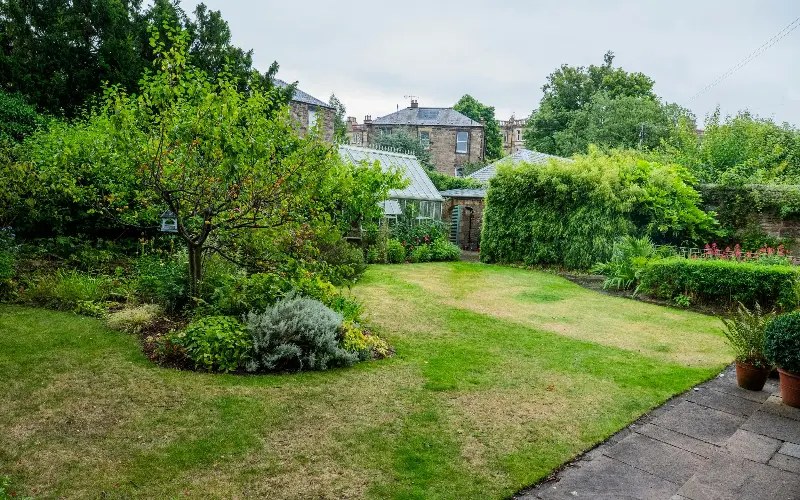 McCall Smith and Elizabeth Parry have owned their Victorian home since 1986 - Chris Watt