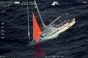 Sperm whale sinks yacht and leaves sailors in a fight for survival: "A full mayday"