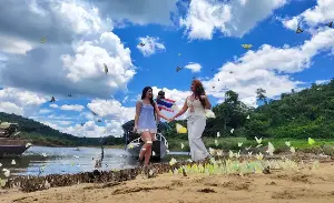 Butterfly season returns to Korat dam