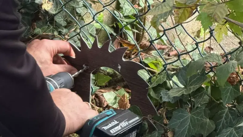 Schon 579 Igel aufgenommen: Igelpflege Rotenburg gibt Einblick