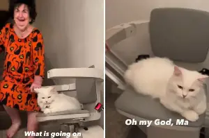 Daughter Catches Someone Using Stairlift, but It’s Not Her 95-Year-Old Mom
