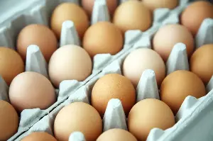 California farm recalls eggs because of possible salmonella
