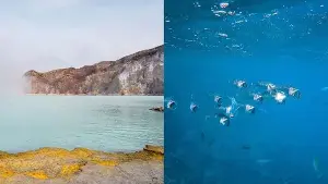 Did you know scientists added sulfuric acid to this Canadian lake every week for 17 years? Here’s what happened