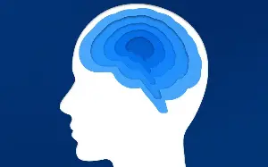 The key phases your brain changes – and how to protect it