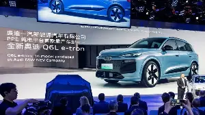 China, la gallina de los huevos de oro que se convirtió en gallo de pelea (y no es por BYD o MG)