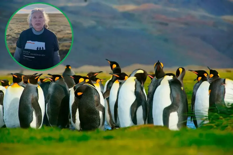 Ti racconto la storia della signora dei pinguini alla fine del mondo