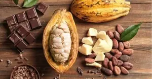 World cocoa prices have risen by more than 6%.