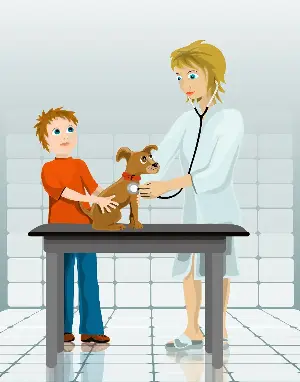 Finding the right veterinarian for you and your pet