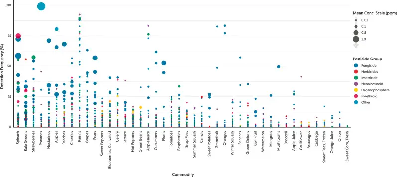 pesticidi frutta verdura studio 