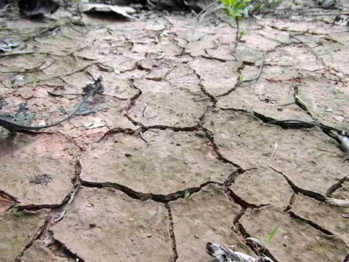 CCOO-A pide abordar los efectos del cambio climático desde una perspectiva social para priorizar el empleo de calidad