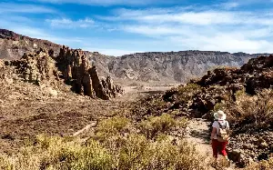 The 11 best things to do in Tenerife
