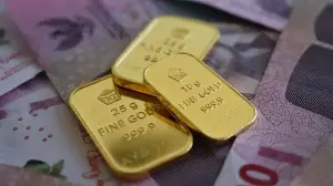 Scammers trick older people into leaving gold in forests, public places; should you be worried? Here’s how to stay safe