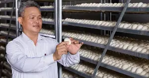 96 outstanding farmers, many of whom achieved revenues of hundreds of billions of VND.