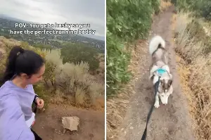 Woman gets husky thinking he'd be "perfect running buddy," backfires