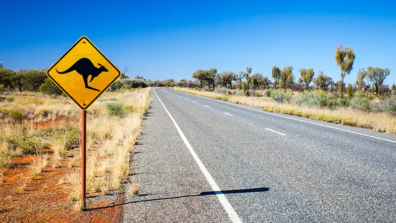 foreign licence and driving in australia