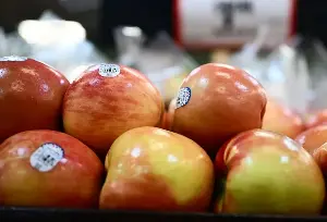 The US emphasizes the potential of the fruit market in Vietnam.