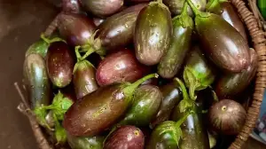 7 Regional Brinjal Recipes That Tell Stories Of Spice And Fire