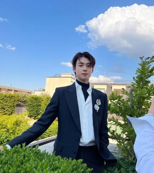 cha eun woo