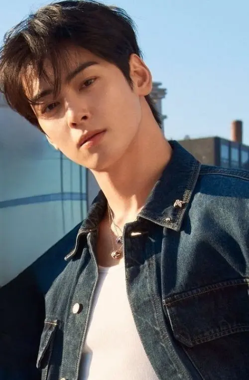 cha eun woo