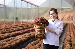Healing with chamomile and longan jelly and Italian shaved ice cream.