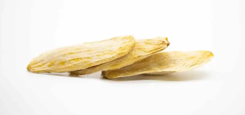 semi di mango