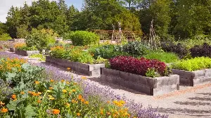 I Do These 5 Things to My Raised Beds Every Spring and I'm Still Using the Same Soil Years Later – No Chemical Fertilizers Required