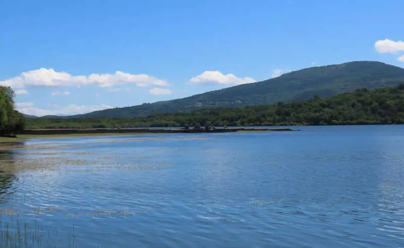 Investigadores de CSIC destacan la importancia de embalses como refugio para la diversidad funcional de aves acuáticas