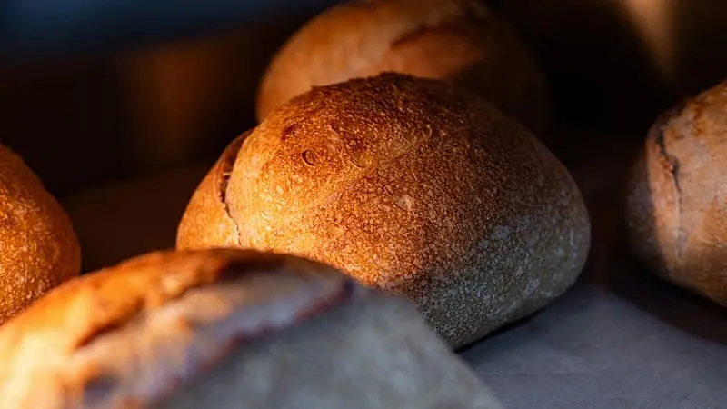Georgia, impronta di grano di 8.000 anni riscrive l'origine del grano tenero