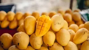 Beyond Alphonso: Lesser-Known Indian Mangoes Worth Trying