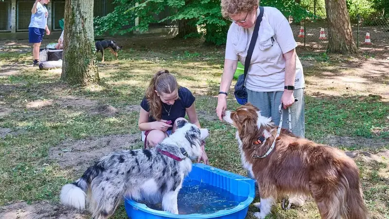 Planschen im kühlen Becken: Annkatrin (links) und Katja Geiß mit ihren Hunden Ella und Cooper.