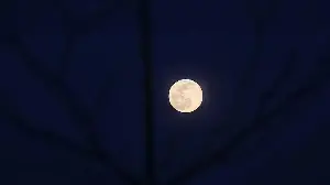 Night Sky in June: Your Complete Stargazing Guide