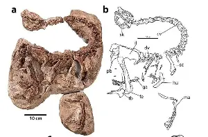 Toothless 'hell chicken' dinosaur may have had a taste for fruit