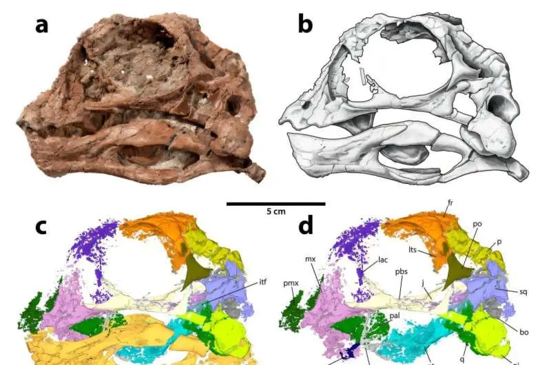 Newly discovered toothless dinosaur may have had a taste for fruit