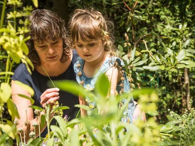 Klare Zonen schaffen: Spielbereich, Naschgarten, Blumenbeete und Kräutergarten sorgen für Struktur und Sicherheit im Garten.