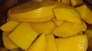 How Himsagar Mango Became Bengal’s Most Celebrated Summer Fruit