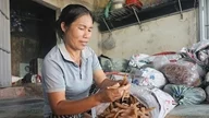 From a simple sweet potato to a lucrative specialty, the entire village earns over 40 billion VND per year.